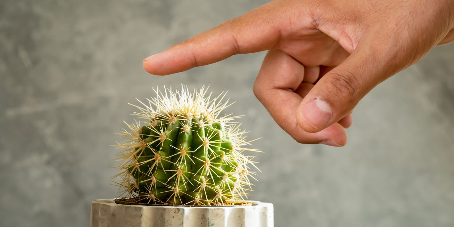 Image: From Challenge to Commodity: How Brands Monetize Benign Masochism