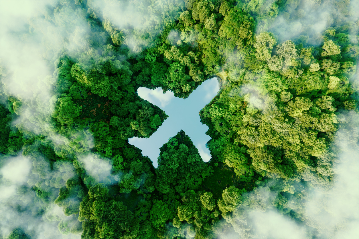 Sustainable Tourism: Can Businesses Balance Profit and Planet?